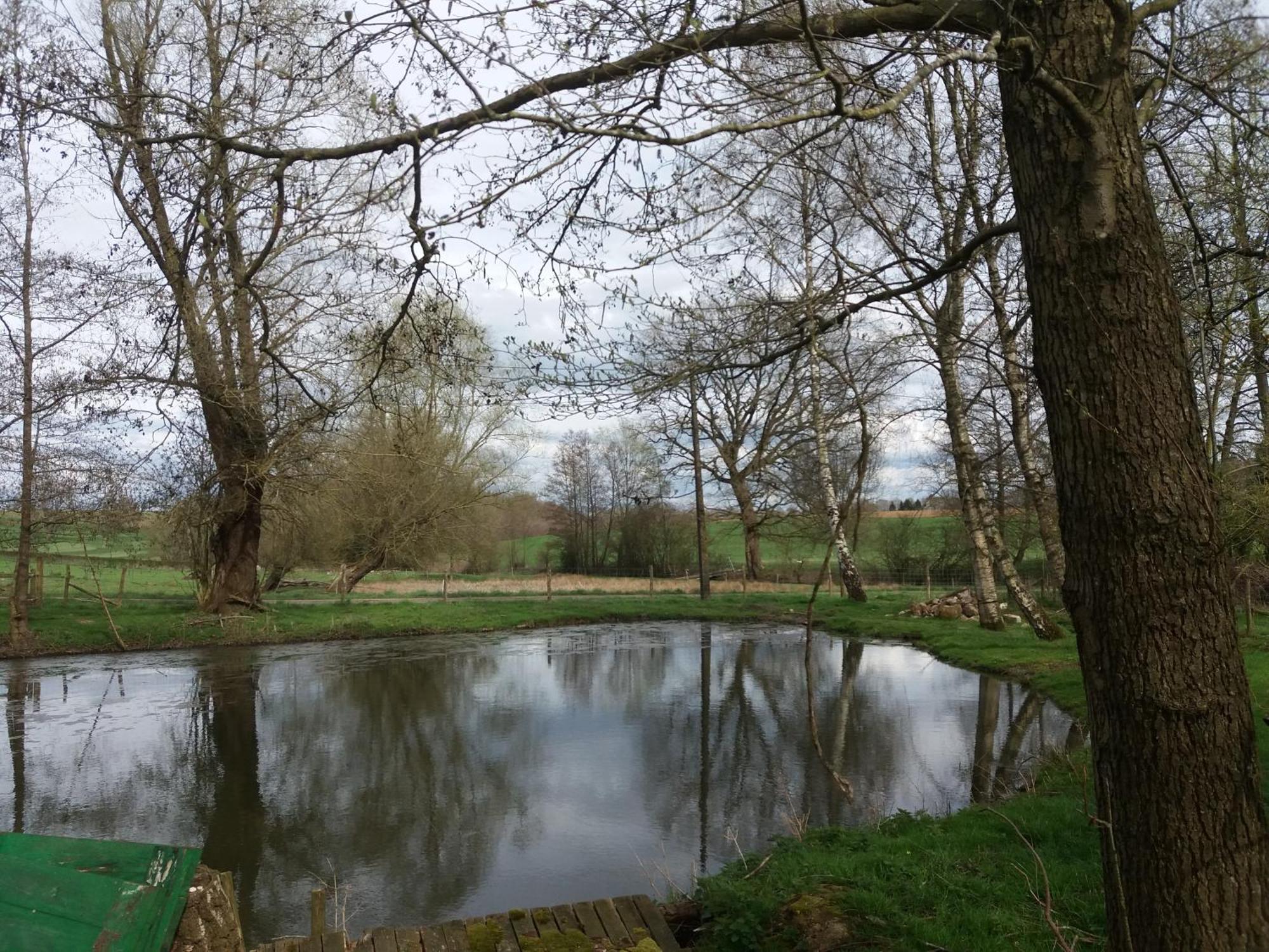 Le Sentier Des Etangs Apartamento Barsy Exterior foto